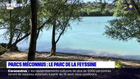À la découverte du parc de la Feyssine à Villeurbanne