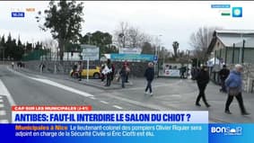 ANTIBES : FAUT-IL INTERDIRE LE SALON DU CHIOT ?