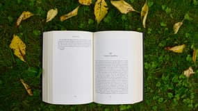 3 thrillers de Freida McFadden à lire avant la sortie de son prochain livre