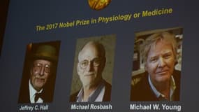 Les gagnants du Prix Nobel de médecine 2017.