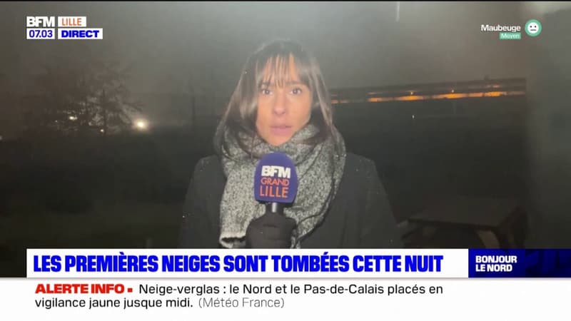 Nord-Pas-de-Calais: les premières neiges sont tombées