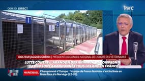 Lutte contre l'abandon des animaux de compagnie: comment les annonces sur Le Bon Coin vont être encadrées