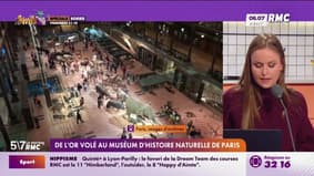 De l'or volé au Muséum d'Histoire Naturelle de Paris