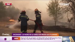 Incendies : le Nord de la Grèce en proie aux flammes 