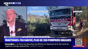 Feux de forêt: "Il y a des problèmes de responsabilité de l'État", estime Christian Pinaudeau, expert des incendies