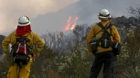 Deux pompiers face à un feu de forêt (image d'illustration)