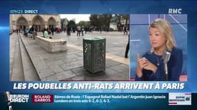Les poubelles "anti-rats" arrivent à Paris
