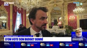 Lyon: les élus votent le "budget genré"