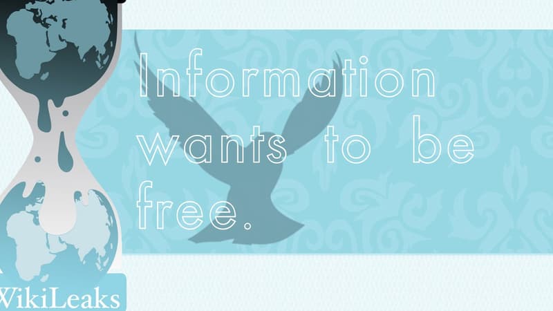 "WikiLeaks, l'information veut être libre".