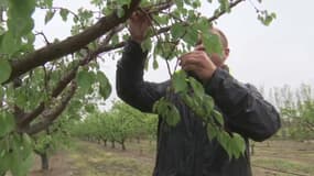 Pyrénées-Orientales : un épisode de pluie inespéré