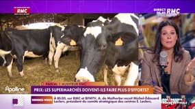 Pascal, agriculteur : "On est en vente directe, on a augmenté notre produit entre 4 et 5 %"