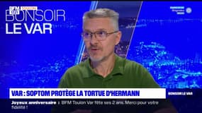 Var: comment protéger la tortue d'Hermann? 