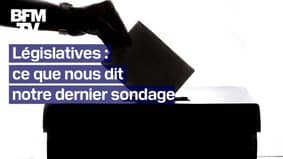 Législatives: ce que nous dit notre dernier sondage avant le premier tour