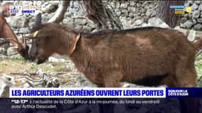 Côte d'Azur: de nombreuses fermes ont ouvert leurs portes aux visiteurs le temps d'un week-end