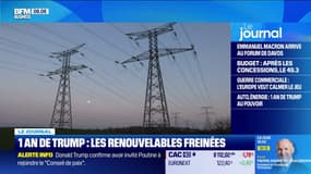 Un an de Donald Trump : a-t-il tué les renouvelables ?