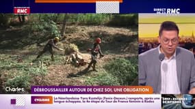 Les régions et conditions qui rendent le débroussaillement obligatoire