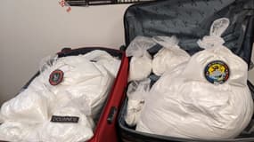 Les deux valises saisies par les agents de la brigade des douanes de Lille-Gares.