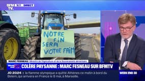 Mesures pour l'agriculture: "On a essayé de travailler dans l'urgence, sur les besoins urgents", affirme Marc Fesneau
