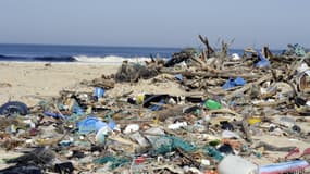 Des déchets rejetés par la mer sur la plage de Mimizan, dans le sud-ouest de la France, en mars 2014.