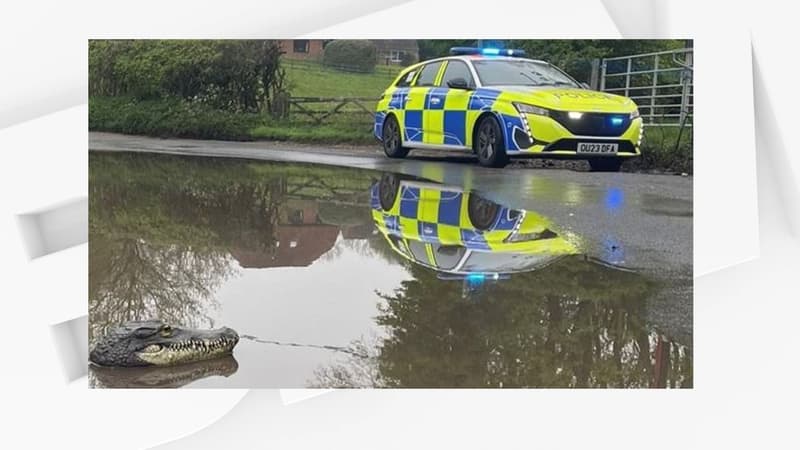 Un véhicule de police anglais près du cours d'eau ayant débordé où a été trouvé la fausse tête de crocodile.