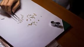 Présenté à un spécialiste, le lot de diamants a été estimé à près de 300 000 euros.