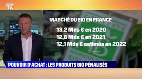 Pouvoir d'achat : les produits bio pénalisés - 04/06