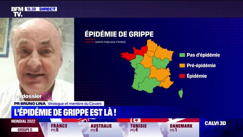 Grippe: le Pr Bruno Lina s'attend à "un pic élevé"