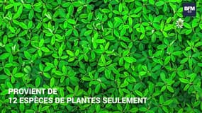 Quels aliments privilégier pour sauver la planète ?