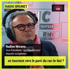 Nadine Morano: "Si autant de gens sont partis voter pour les extrêmes c'est parce que nous n'avons pas fait notre travail correctement"