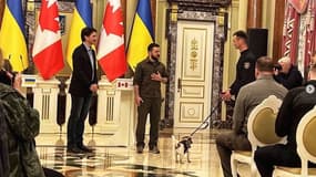 Le président ukrainien Volodymyr Zelensky, le Premier ministre canadien Justin Trudeau et le chien Patron.