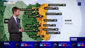 Météo Alsace: des averses et des températures douces ce vendredi