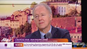 André : "Sur la partie alimentaire, l'inflation est à 13% en moyenne".