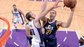 Rudy Gobert 