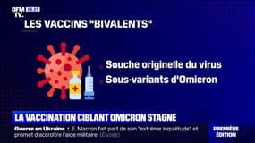 Covid-19: 8 millions de doses du vaccin "bivalent" disponibles d'ici la fin octobre