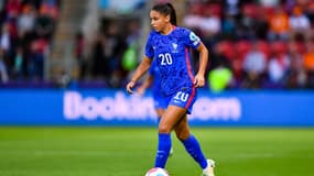 D. Cascarino