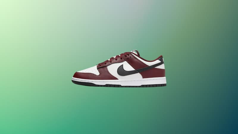 Cette paire de Nike Dunk Low rencontre un franc succès, vu son prix, on comprend pourquoi