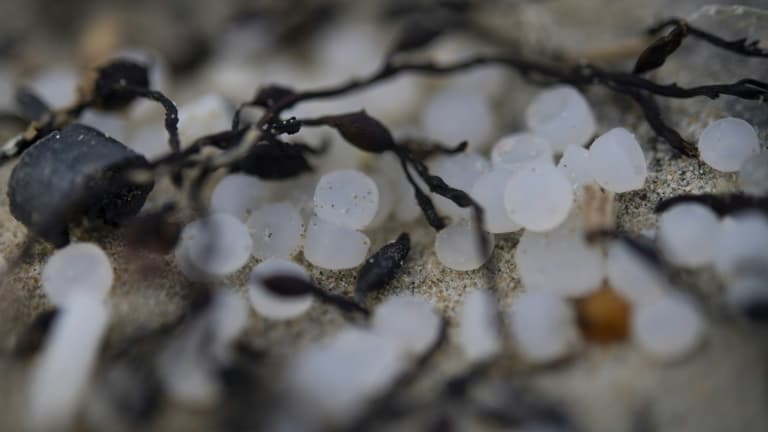 De l'usine à la plage, les tribulations et les terribles dégats d'un granulé de plastique qui fait pleurer les sirènes