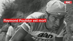 Raymond Poulidor, chouchou des français, est mort