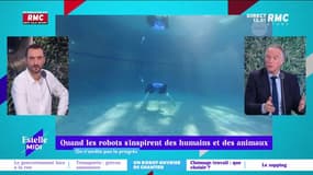 On n'arrête pas le progrès : Quand les robots s'inspirent des humains et des animaux - 20/01