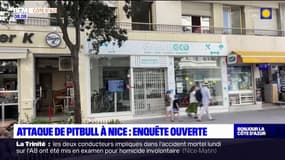 Nice: une enquête ouverte après l'attaque d'un commerçant par un pitbull