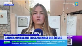 Cannes- La Bocca : un enfant de CE2 menace des élèves au sein de l'école René Goscinny