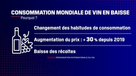 La baisse de la consommation mondiale de vin s'explique notamment par une désaffection des consommateurs.