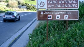 Le Parc national des calanques doit lutter contre la surfréquentation, photo du 17 mars 2021 à Marseille.