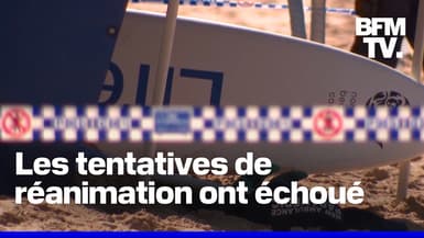 Un surfeur tué par un requin au large de Sydney en Australie 