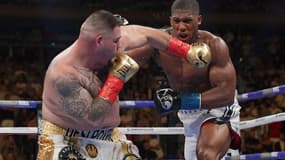 Anthony Joshua et Andy Ruiz