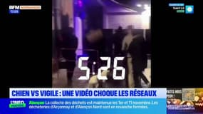 Rouen: un vigile de boite de nuit jette un parpaing sur un chien, le gérant s'explique