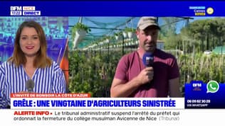 Villeneuve-Loubet: une vingtaine d'agriculteurs sinistrés par la grêle