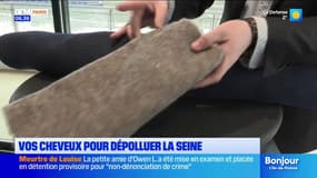 Paris: les cheveux, un atout clé pour dépolluer la Seine