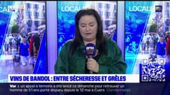 Planète Locale du lundi 22 mai 2023 - Vins de Bandol : entre sécheresse et grêles