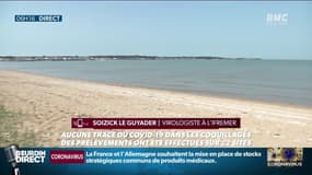 Pas de coronavirus détecté dans les coquillages ou l'eau de mer 